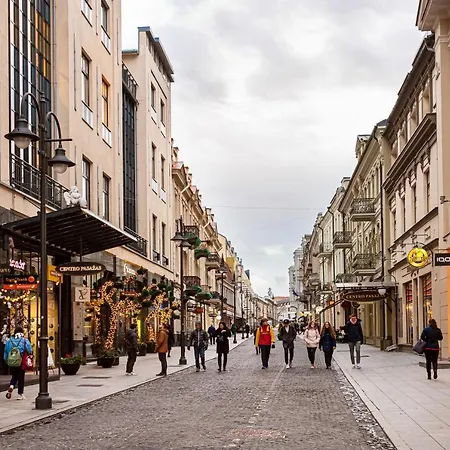 Labdariu Vilnius